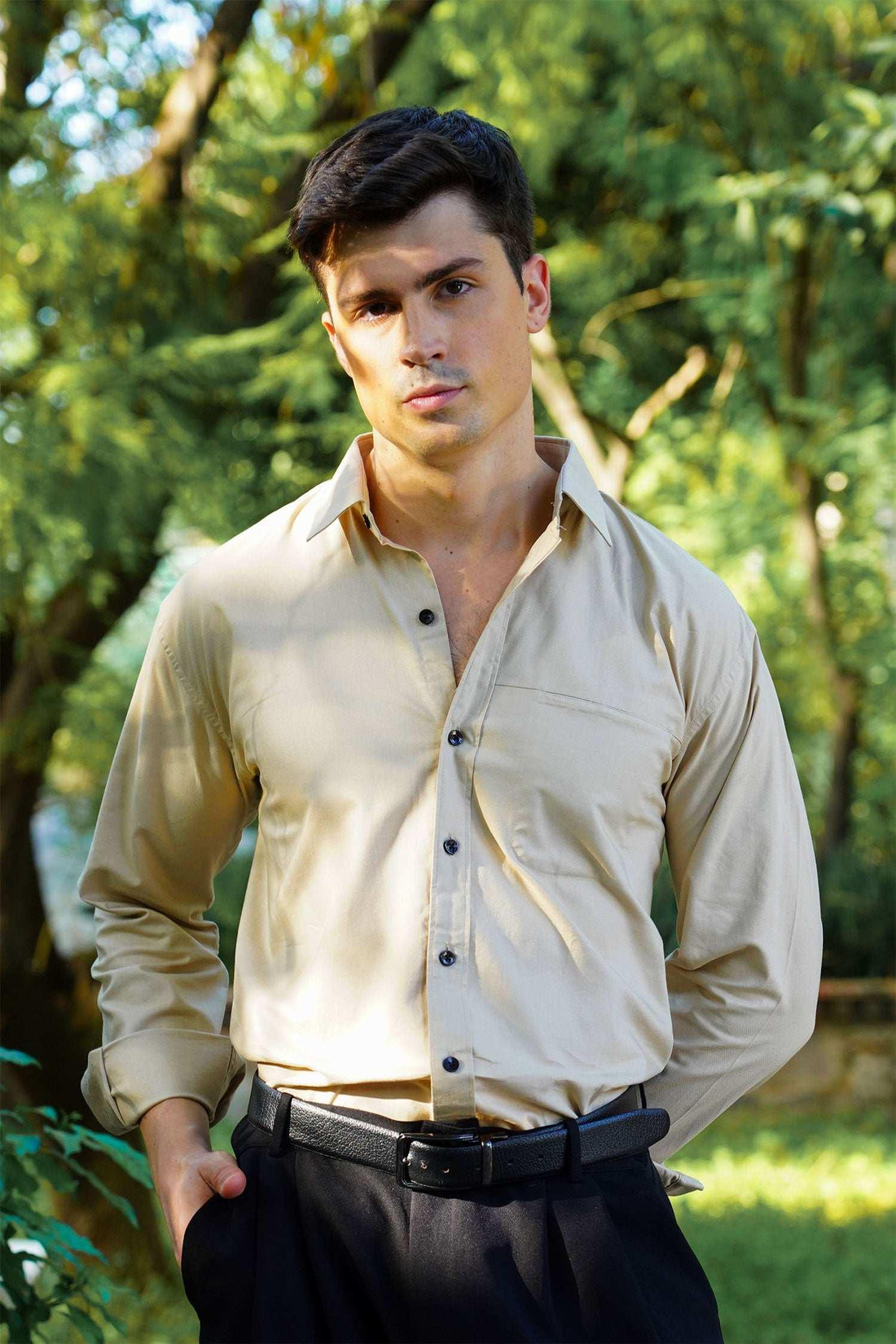 Beige Classic Formal Shirt